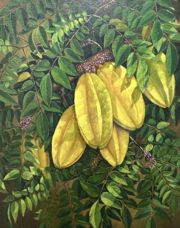 FR01 Golden Star Fruits