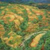 LC06 Wonder of Sapa